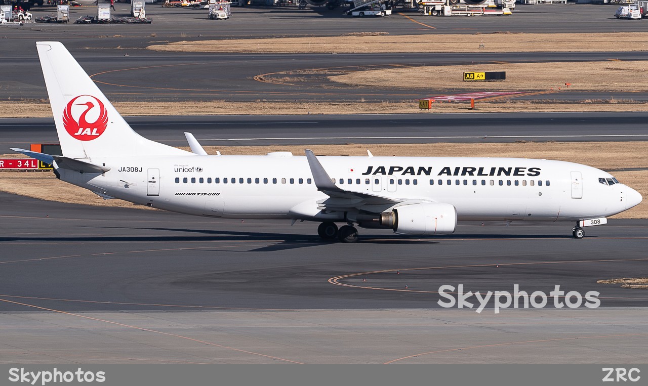 日本航空 B737-800