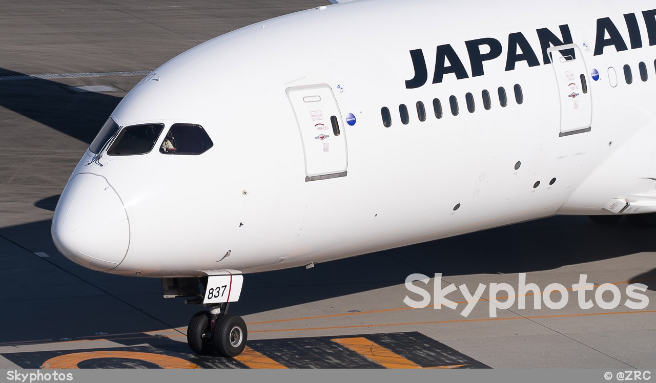 Japan Airlines Boeing 787-8 Dreamliner