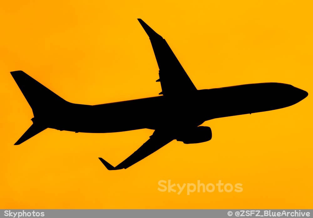 山东航空公司 波音737-800