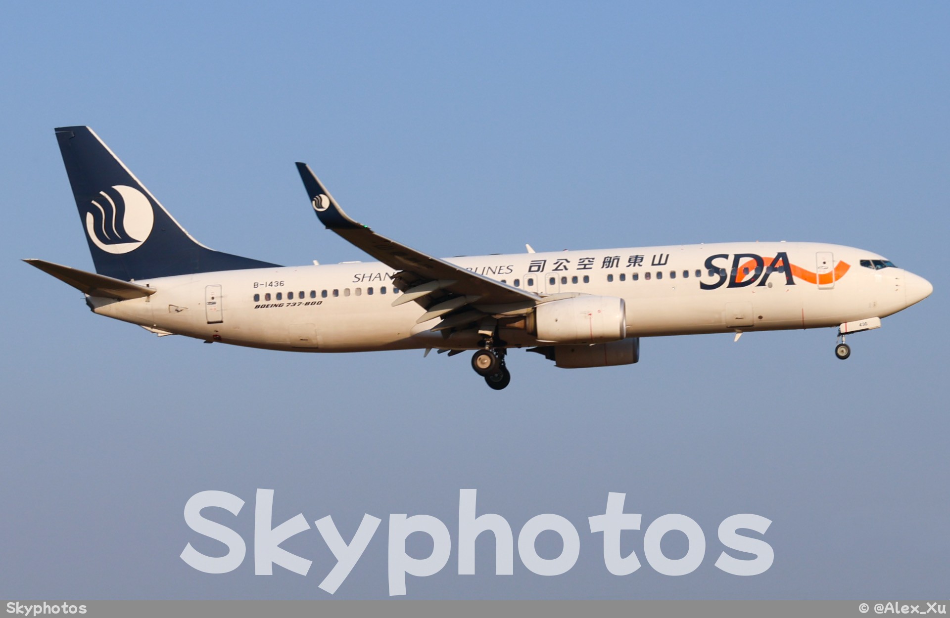 山东航空 B737-800(WL)