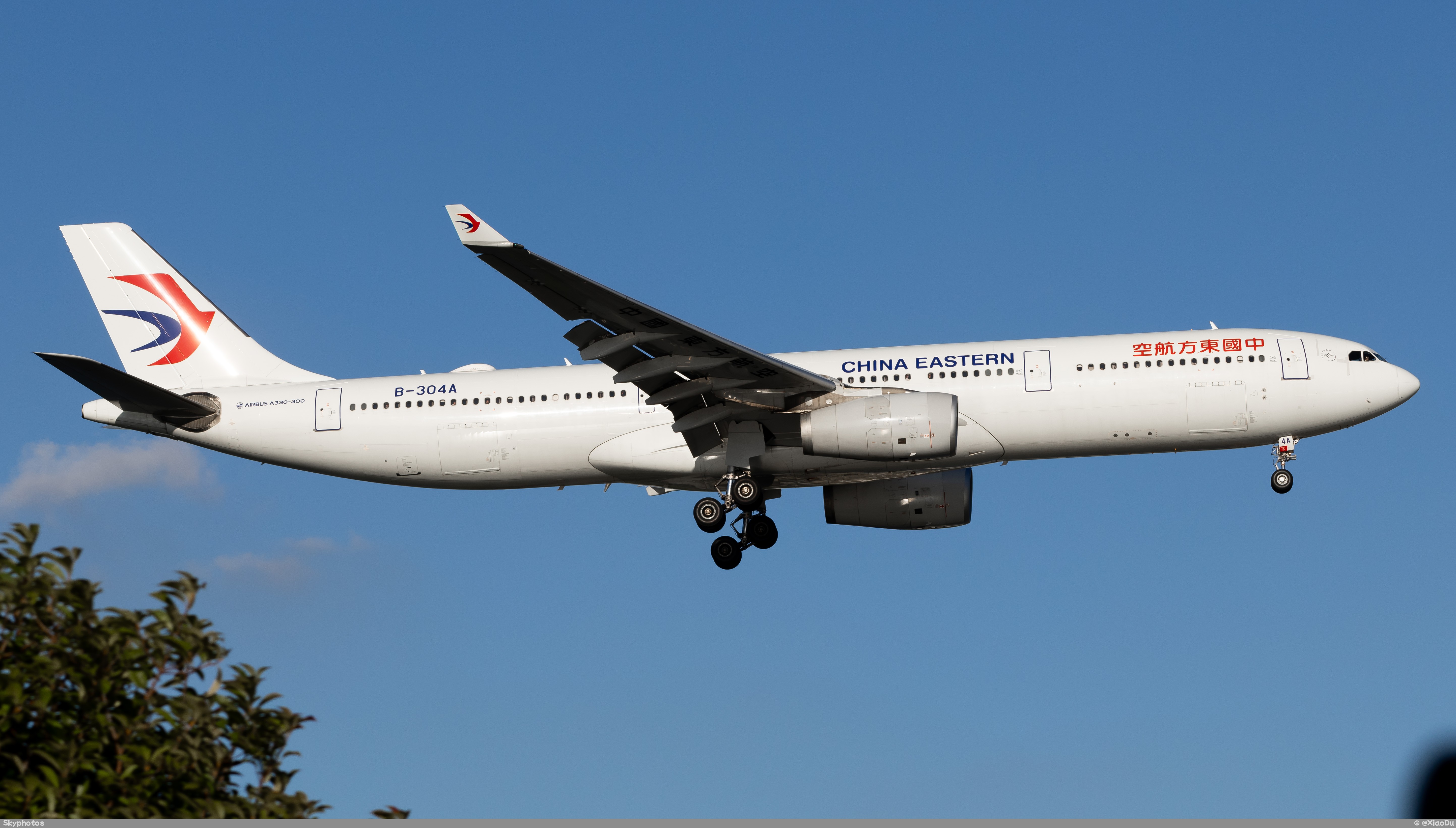 中国东方航空 A330-343X