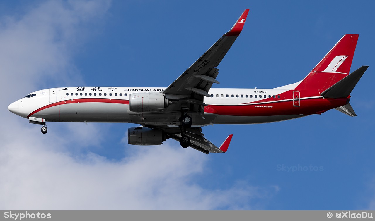 上海航空 B737-86D(WL)