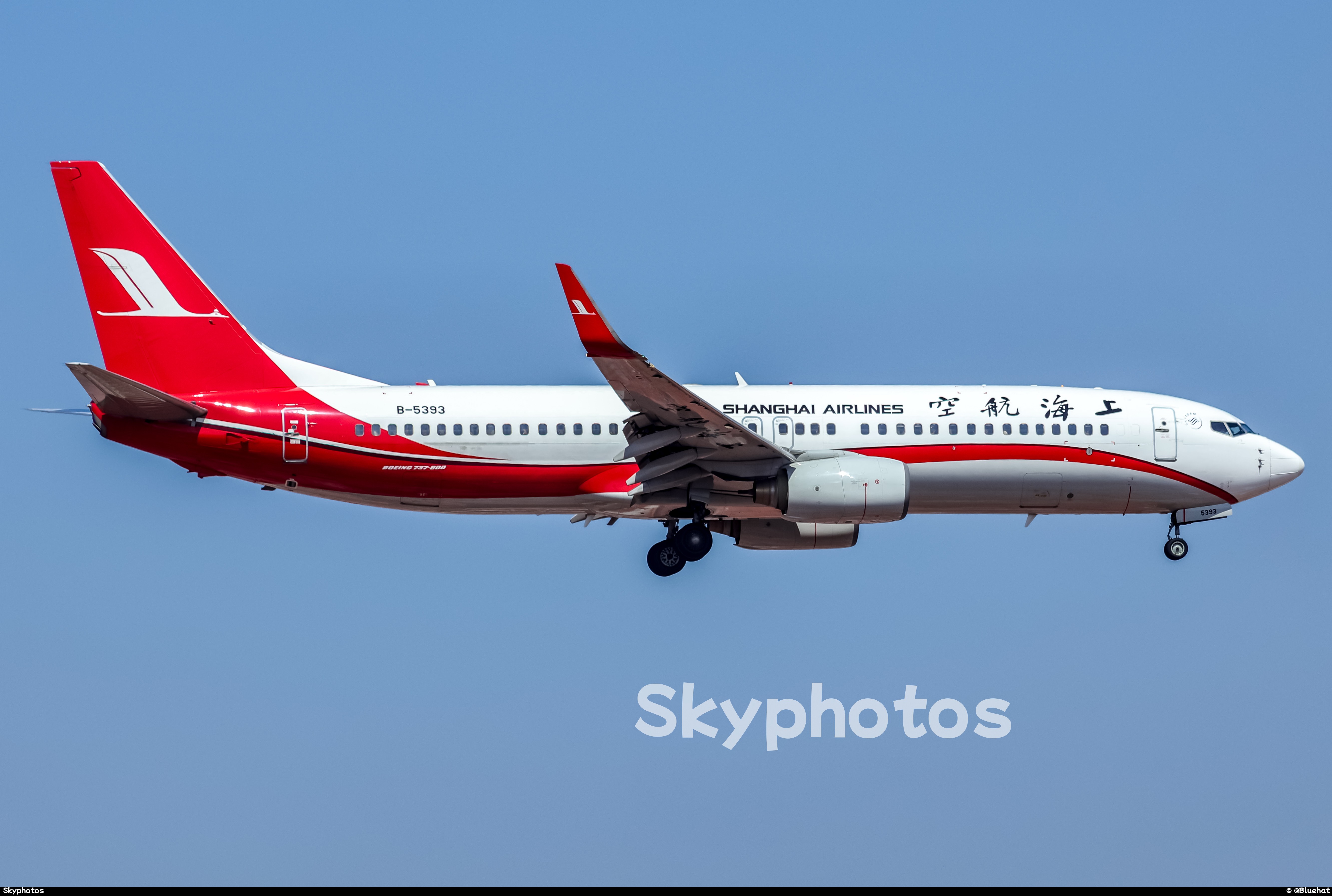 上海航空 B737-86D(WL)