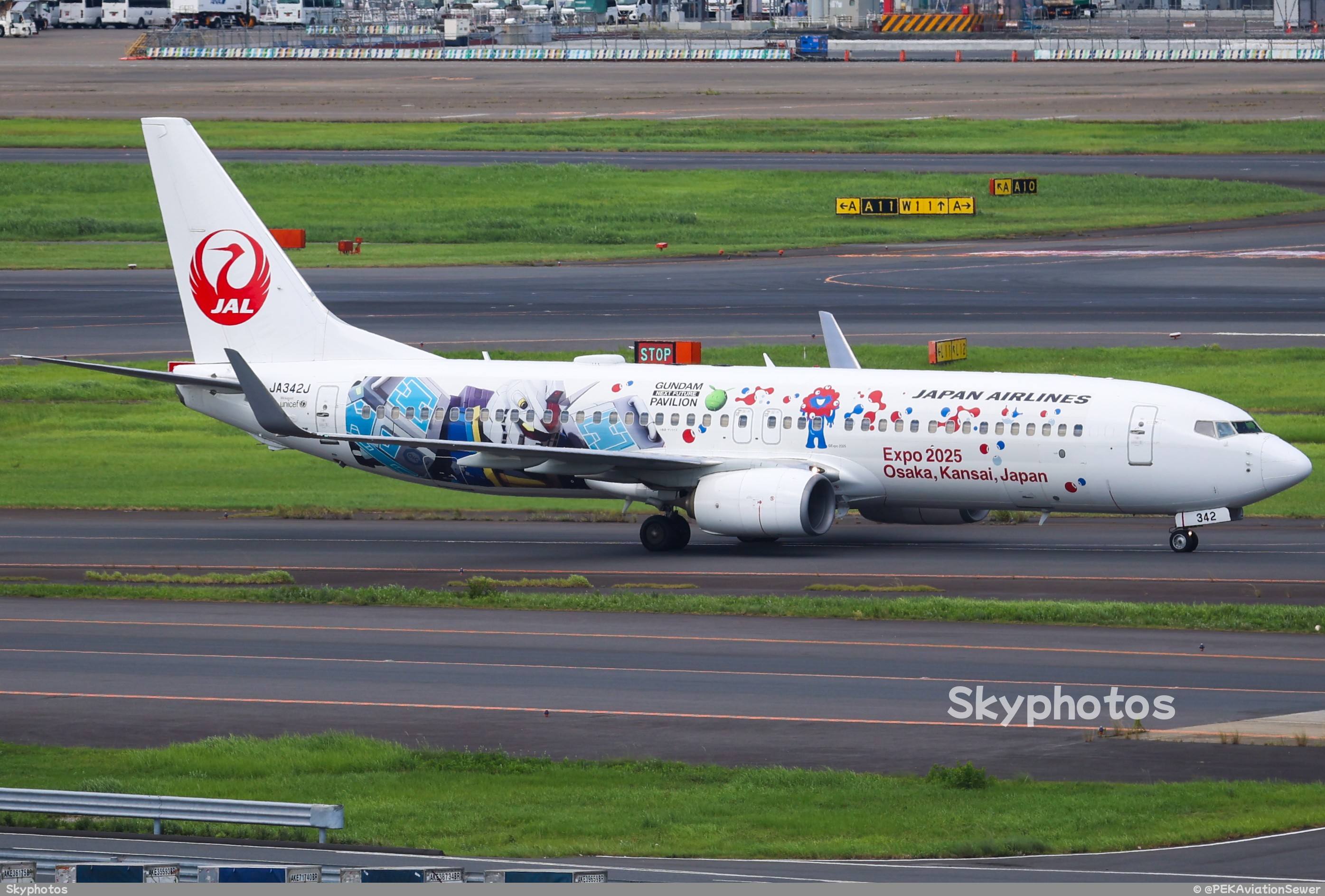 Japan Airlines Boeing 737-800