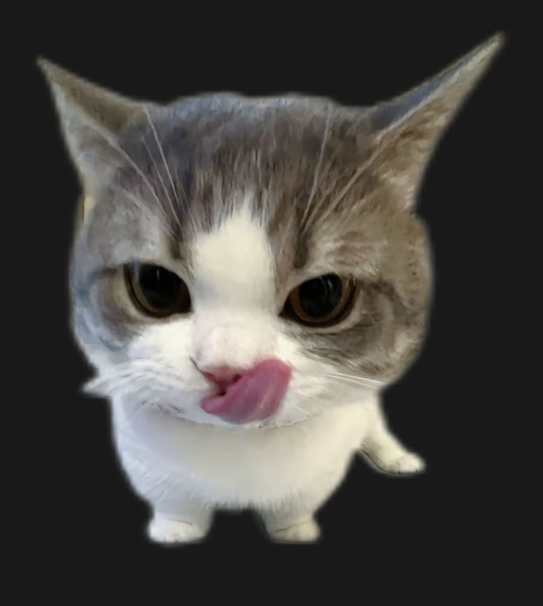 Aviation_Cora的头像