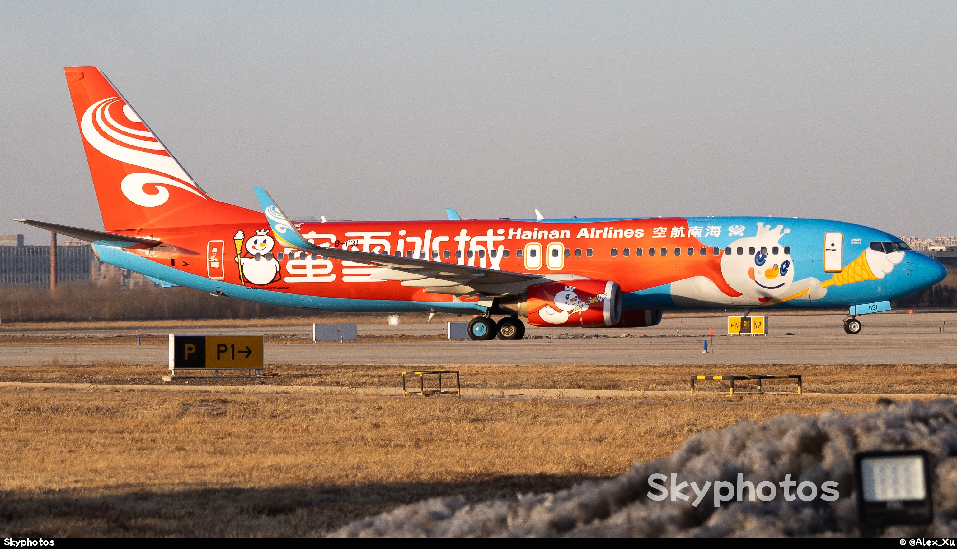 海南航空 B737-800(WL)